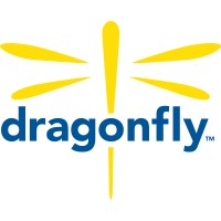The Dragonfly Foundation Chicago logo - Similar company to Resiliant