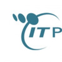 It Partners
