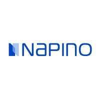 Napino Auto & Electronics Ltd logo - Similar company to Vvdn Technologies