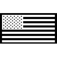 The American Made Podcast logo - Similar company to Different Spectrums Podcast ™️