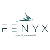 Fenyx IT Academy logo - Similar company to We'Rhere.Nl