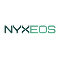 Nyxeos Consulting Group logo - Similar company to Rse Engineering