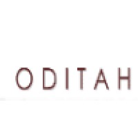 Fidelis Oditah & Co logo - Similar company to Akin Business Constructs