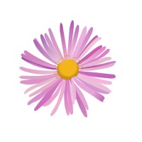 MS Research and Relief Fund