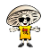 FunGuy Mushrooms logo - Similar company to Good Pharma