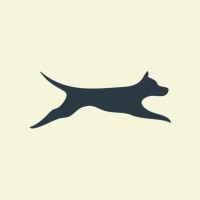 Zumivan logo - Similar company to Dentacor