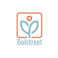 BOLSTREET B.V. logo - Similar company to Smart Bulb