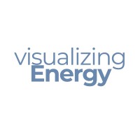 Visualizing Energy logo - Similar company to Network For Sustainable Solutions