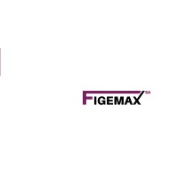 Figemax SA logo - Similar company to Weckerle Packaging