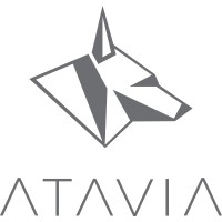 ATAVIA logo - Similar company to Aries One Energy Consultants
