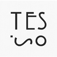 Tesso logo - Similar company to Venrup
