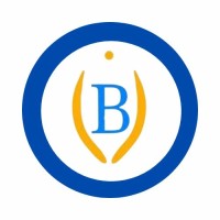 Blusys Info Pvt Ltd logo - Similar company to Asv Consulting Services Pvt. Ltd.