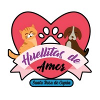 Huellitas de Amor SRC logo - Similar company to Viralworks Pte. Ltd
