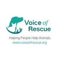 Voice Of Rescue
