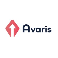 Avaris logo - Similar company to Avaris