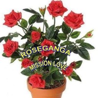 Rose Ganga By Sujaankimalati India Pvt Ltd logo - Similar company to Hindustan Castings