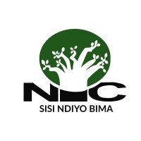 NIC Insurance logo - Similar company to Resolution Insurance Limited - Tanzania