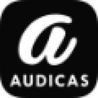 Audicas | Asset Management Software logo - Similar company to Mcglobal Solutions