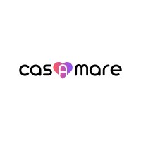 CasAmare logo - Similar company to Delta Professionals B.V.