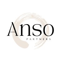 Anso Partners logo - Similar company to The Buck Hill Conservation Foundation