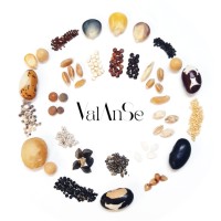 VALANSE Food logo - Similar company to Intersicop