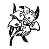 CableDataSheet Wire and Cable Consulting logo - Similar company to Beach Wire & Cable Inc.