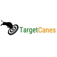 TargetCanes logo - Similar company to Miami Herbert Finance Department