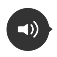 WebsiteVoice logo - Similar company to Subtitlebee