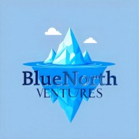 BlueNorth Ventures logo - Similar company to Trendsense Market Intelligence