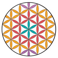 Semillas de Vida logo - Similar company to Soulshub