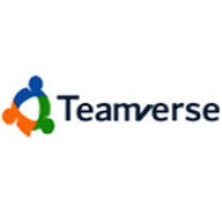 Teamverse Consulting logo - Similar company to Calibur Integrated Solutions