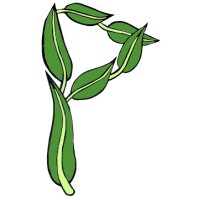 PARCELITA logo - Similar company to Fernet Hunter