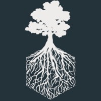Carbón Emergente  |  Ebc Biochar