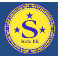Surte Bandyklubb logo - Similar company to Surte Is