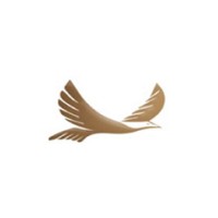 Sravya Wireless Technologies logo - Similar company to Numelo Tech