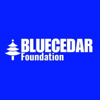 Bluecedar Foundation For Skills And Youth Empowerment logo - Similar company to Scaach