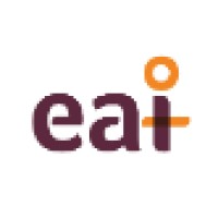 Endometriosis Association of Ireland logo - Similar company to Her Voice Project