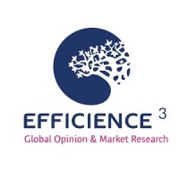 EFFICIENCE 3 logo - Similar company to I-Digital