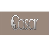 Casar S.r.l. Edizioni Tessili logo - Similar company to Manichini Moda