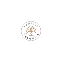 Project Velantis logo - Similar company to Velantis