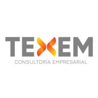 Texem Consultoría Empresarial logo - Similar company to Autoequipo