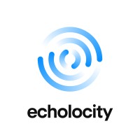 Echolocity logo - Similar company to Echo It Consulting Llc