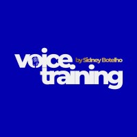 Voice Training - Escola de Oratória e Formação de Palestrantes! logo - Similar company to Decision Fgv Sc