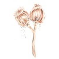 Poppy Seed Counselling
