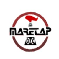 MARETAP S.A logo - Similar company to Ffps&Com