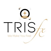 TrisFX logo - Similar company to Prysma Solutions