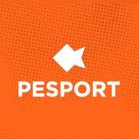 Agencia Pesport logo - Similar company to Managementv