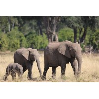 DN Travel and Expeditions logo - Similar company to Litsa_Credits_Ltd