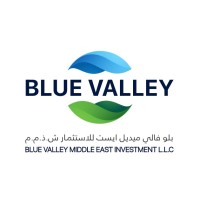 Blue Valley Middle East Investment logo - Similar company to Razor Capital