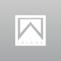IDIGOV Consulting logo - Similar company to Closer Cabal